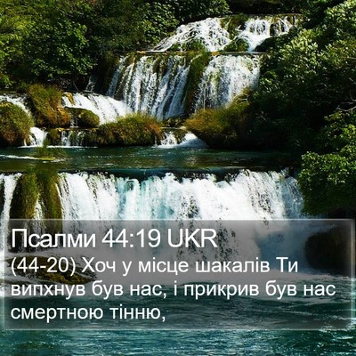 Псалми 44:19 UKR Bible Verse Image