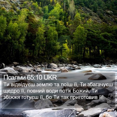 Псалми 65:10 UKR Bible Verse Image