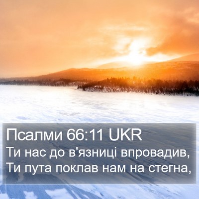 Псалми 66:11 UKR Bible Verse Image