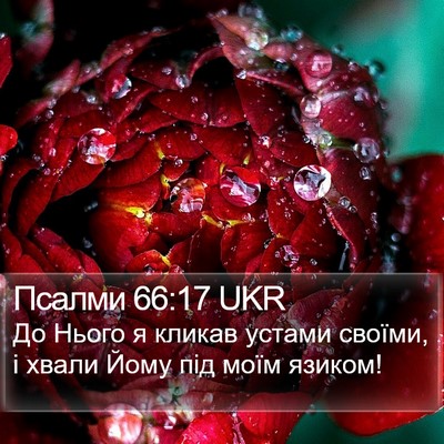 Псалми 66:17 UKR Bible Verse Image