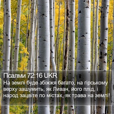 Псалми 72:16 UKR Bible Verse Image