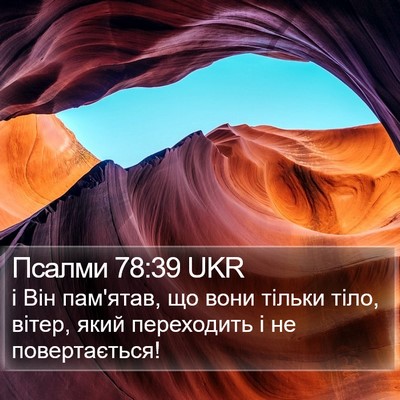 Псалми 78:39 UKR Bible Verse Image