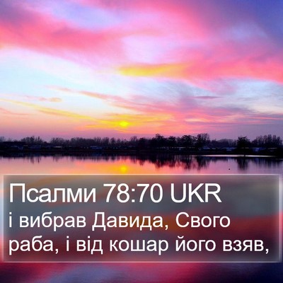 Псалми 78:70 UKR Bible Verse Image