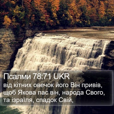 Псалми 78:71 UKR Bible Verse Image
