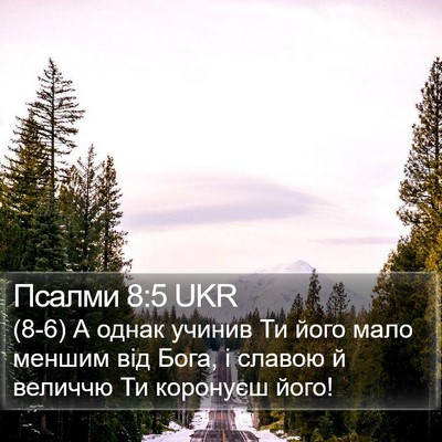 Псалми 8:5 UKR Bible Verse Image