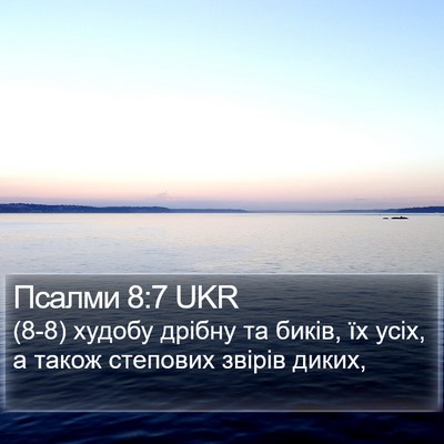 Псалми 8:7 UKR Bible Verse Image
