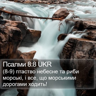 Псалми 8:8 UKR Bible Verse Image