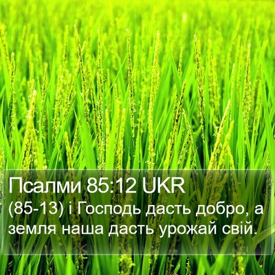 Псалми 85:12 UKR Bible Verse Image