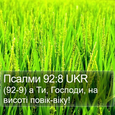 Псалми 92:8 UKR Bible Verse Image