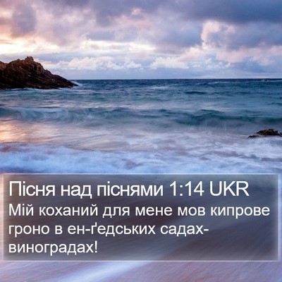 Пісня над піснями 1:14 UKR Bible Verse Image