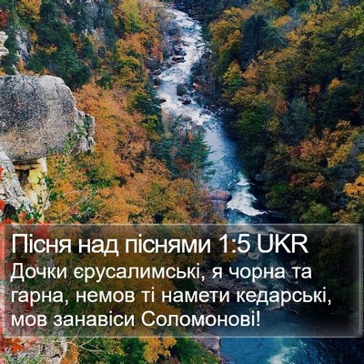 Пісня над піснями 1:5 UKR Bible Verse Image