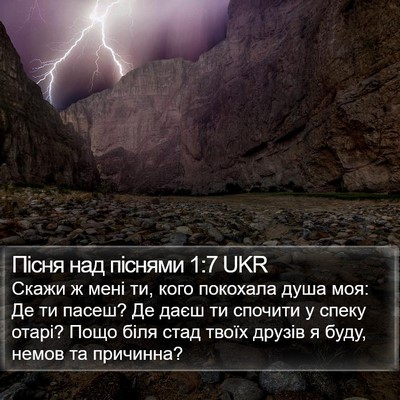Пісня над піснями 1:7 UKR Bible Verse Image