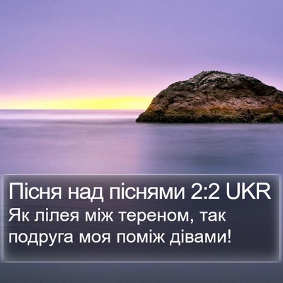 Пісня над піснями 2:2 UKR Bible Verse Image
