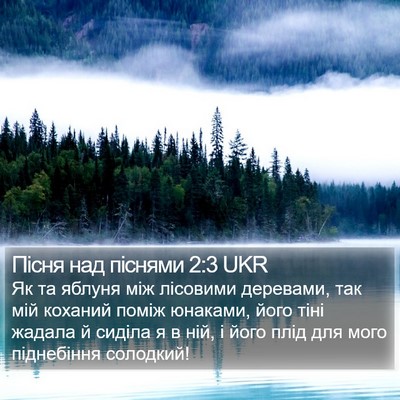 Пісня над піснями 2:3 UKR Bible Verse Image