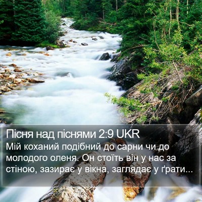 Пісня над піснями 2:9 UKR Bible Verse Image