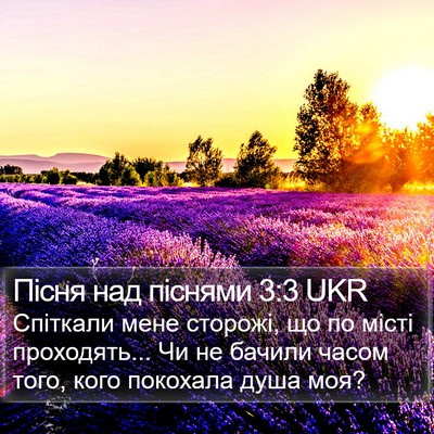 Пісня над піснями 3:3 UKR Bible Verse Image
