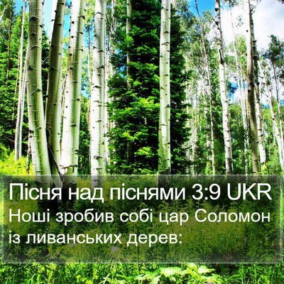 Пісня над піснями 3:9 UKR Bible Verse Image