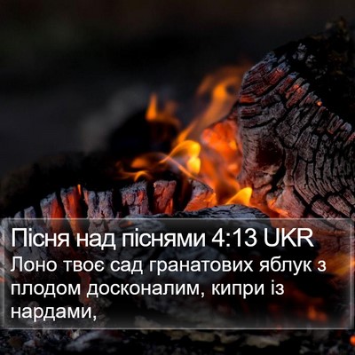 Пісня над піснями 4:13 UKR Bible Verse Image