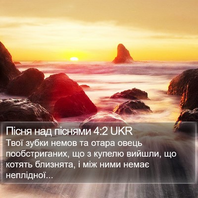 Пісня над піснями 4:2 UKR Bible Verse Image