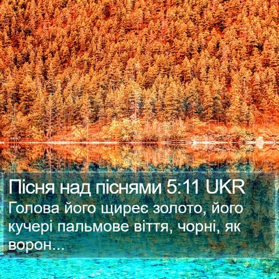 Пісня над піснями 5:11 UKR Bible Verse Image