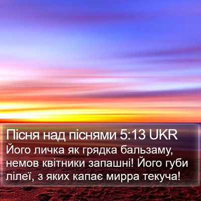 Пісня над піснями 5:13 UKR Bible Verse Image
