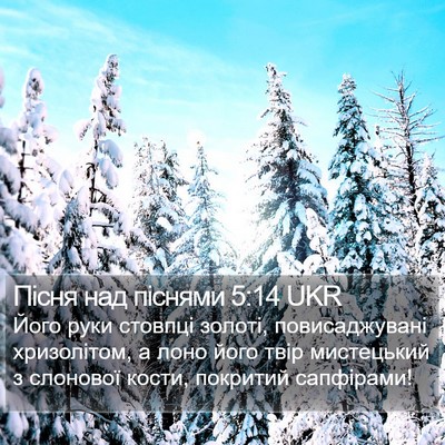 Пісня над піснями 5:14 UKR Bible Verse Image