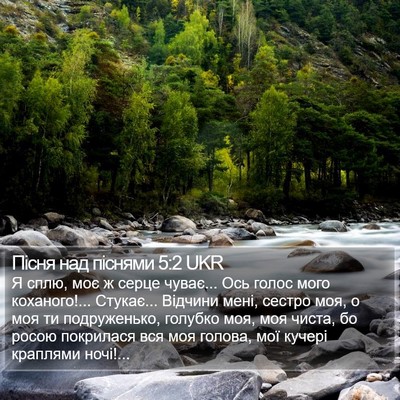 Пісня над піснями 5:2 UKR Bible Verse Image