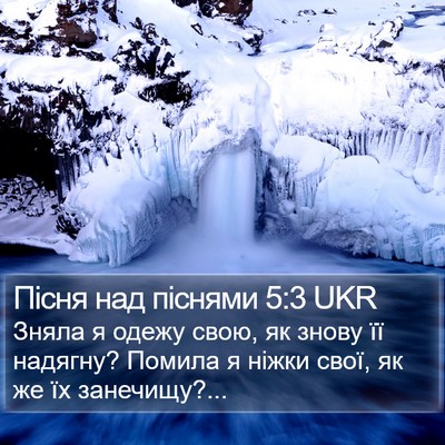 Пісня над піснями 5:3 UKR Bible Verse Image