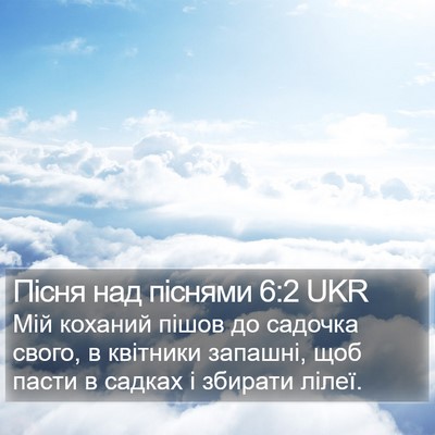 Пісня над піснями 6:2 UKR Bible Verse Image