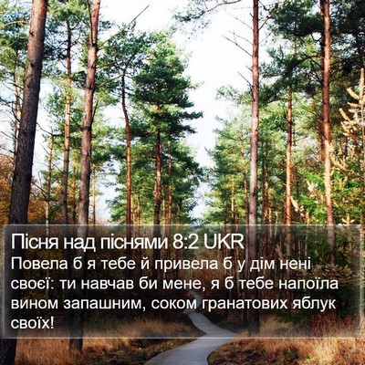 Пісня над піснями 8:2 UKR Bible Verse Image