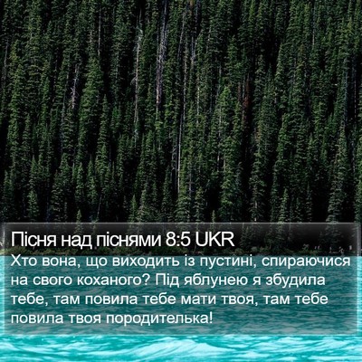 Пісня над піснями 8:5 UKR Bible Verse Image