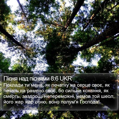 Пісня над піснями 8:6 UKR Bible Verse Image
