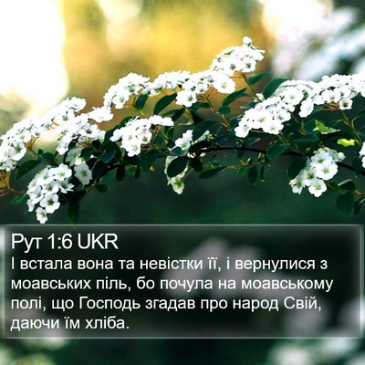 Рут 1:6 UKR Bible Verse Image