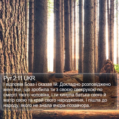 Рут 2:11 UKR Bible Verse Image