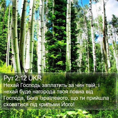 Рут 2:12 UKR Bible Verse Image