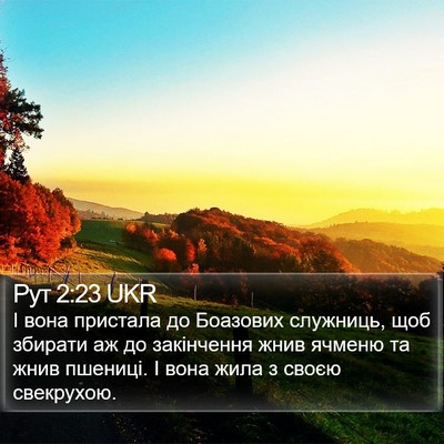 Рут 2:23 UKR Bible Verse Image