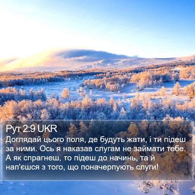 Рут 2:9 UKR Bible Verse Image