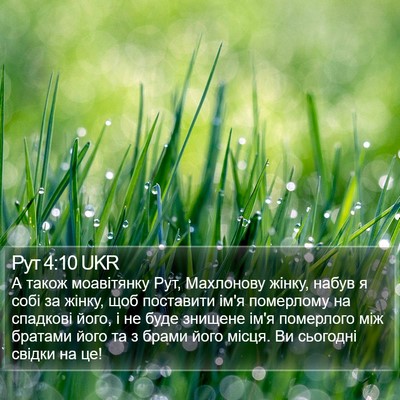 Рут 4:10 UKR Bible Verse Image