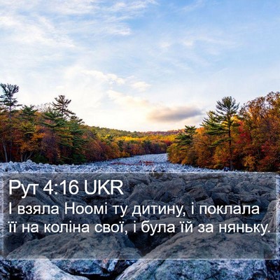 Рут 4:16 UKR Bible Verse Image