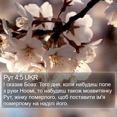 Рут 4:5 UKR Bible Verse Image