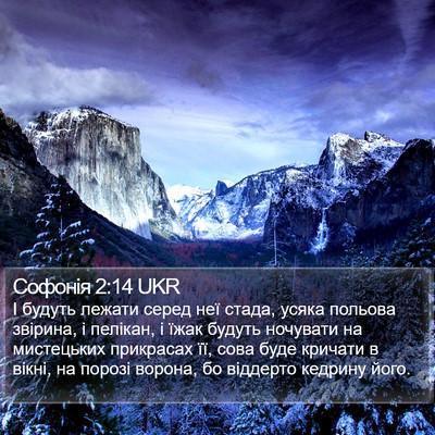 Софонія 2:14 UKR Bible Verse Image