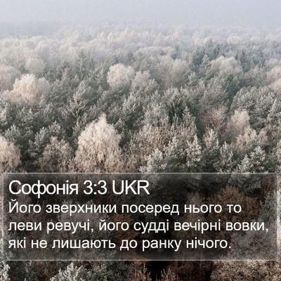 Софонія 3:3 UKR Bible Verse Image