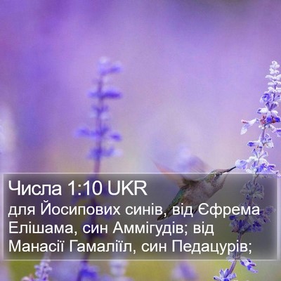 Числа 1:10 UKR Bible Verse Image