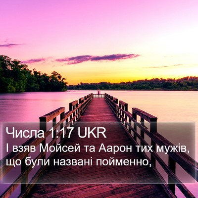 Числа 1:17 UKR Bible Verse Image