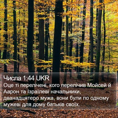 Числа 1:44 UKR Bible Verse Image
