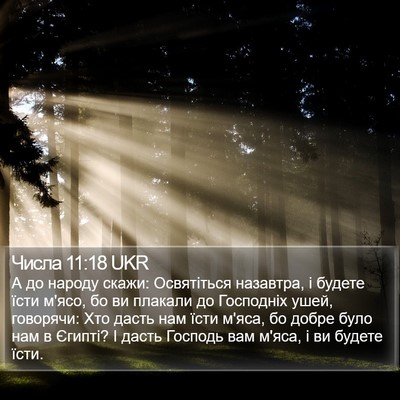 Числа 11:18 UKR Bible Verse Image