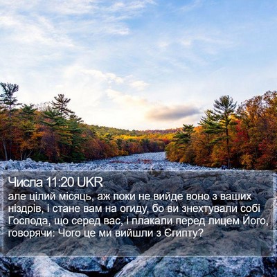 Числа 11:20 UKR Bible Verse Image