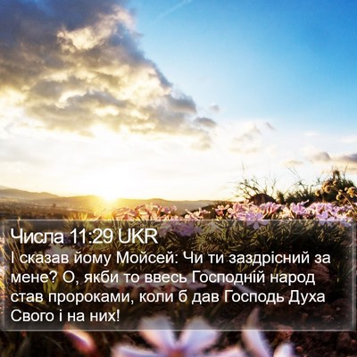 Числа 11:29 UKR Bible Verse Image