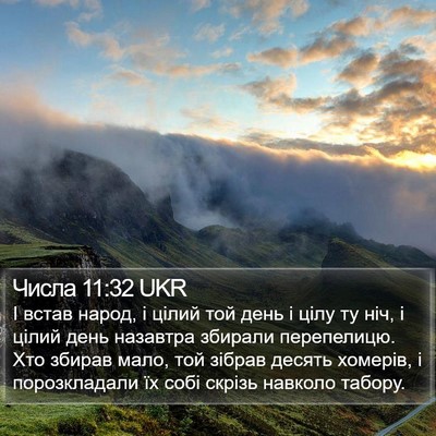 Числа 11:32 UKR Bible Verse Image