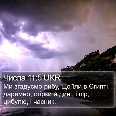 Числа 11:5 UKR Bible Verse Image